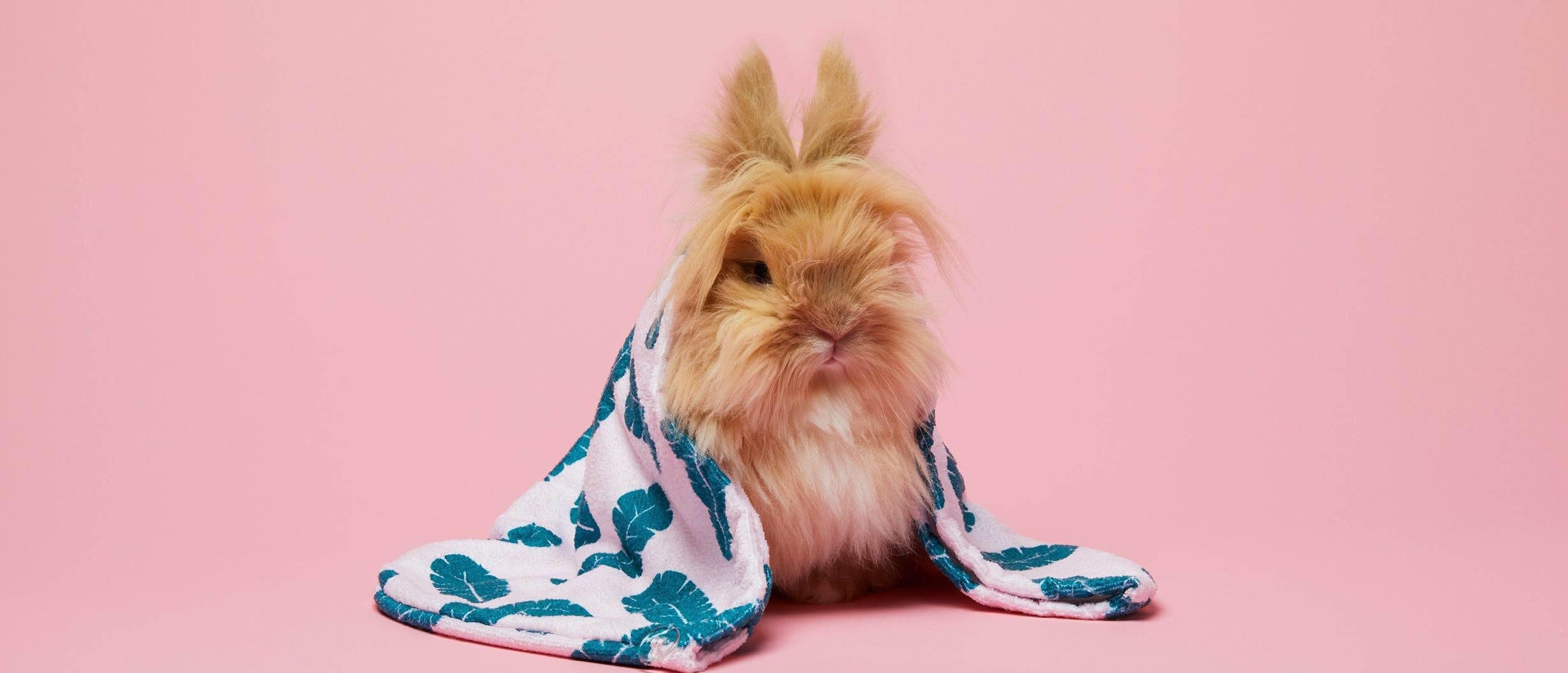 Cruelty Free & Vegan